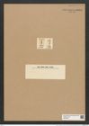 Tabellaria ? amphilepta Ehr. (de-Toni-Nr.: Genus 89, Species 2992) Zeichnungen Sammlung Grunow Nr. 6096 (NHMW-BOT-W0374631)